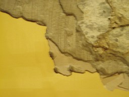 christchurch -1540.jpg